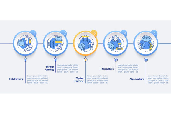 Aquaculture Vector Infographic Template: Visual Storytelling for Modern Seafood Farming Presentations