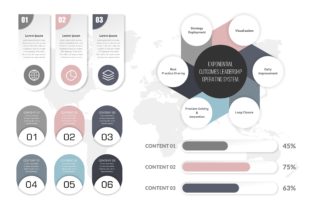 Infographic Bundle Vector Templates for Business